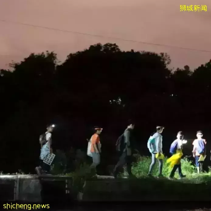 女记者为何要在疫情最严重时,独自带俩娃来新加坡上国际学校