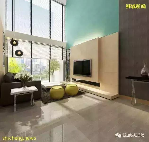 新加坡政府组屋原来有这么多豪华“变异户型”,有地住宅和LOFT复式都全了