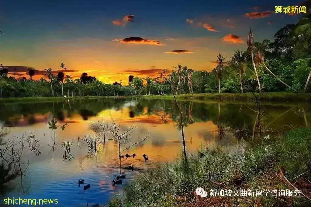 新加坡留学假日好去处,比马尔代夫更美的周边小岛盘点