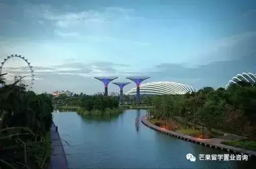 新加坡全程留學模式受青睐