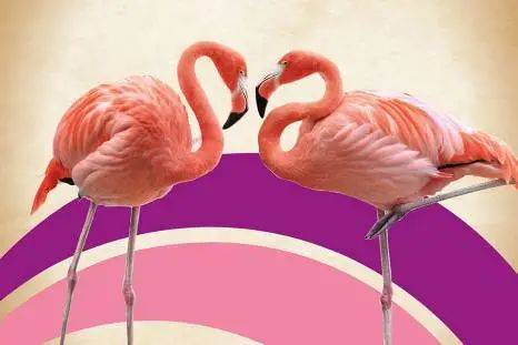 裕廊飞禽公园50周年,整个1月将以1971年时的门票价格收费,仅需两块半