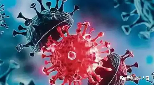 新冠病毒再次变异成德尔塔克戎,专家:较不会发生在新加坡