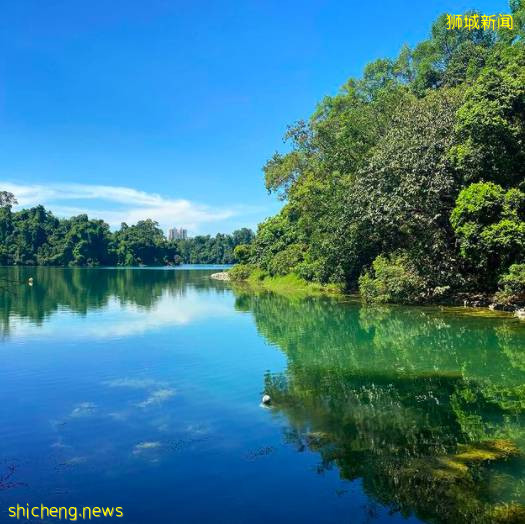 玩在獅城 盤點全島這15個免費景點，讓你玩的省錢又開心