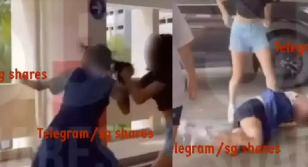 新加坡副總理：國際合作有助于對抗疫情