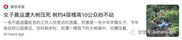 “晨运”还是“晨练”,坡式中文真的很难懂吗