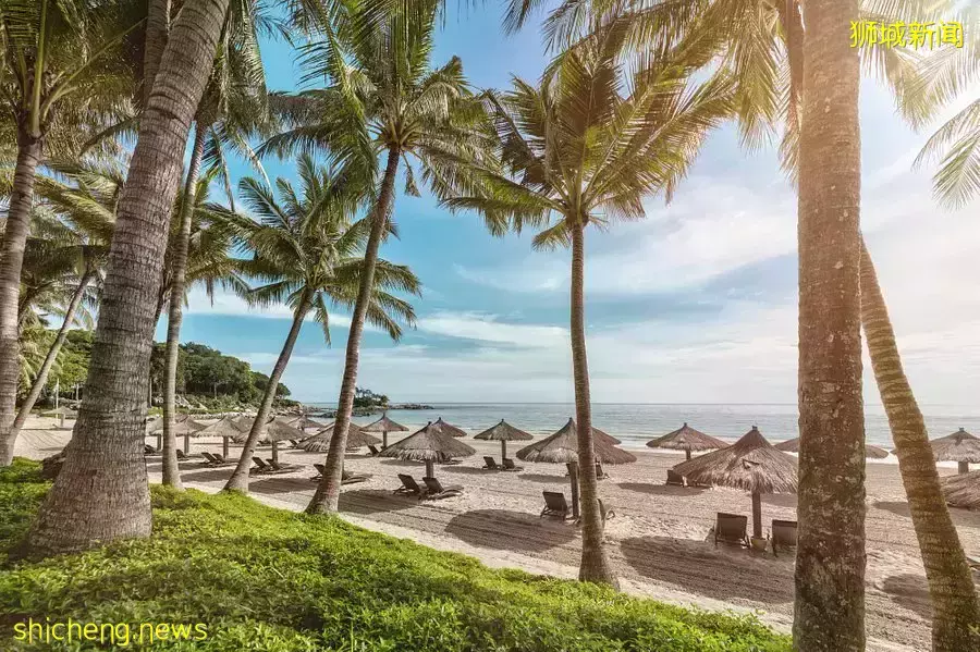 新加坡前往Batam、Bintan免隔离‼️ 首个海路旅游通道2月25日正式起航🚢