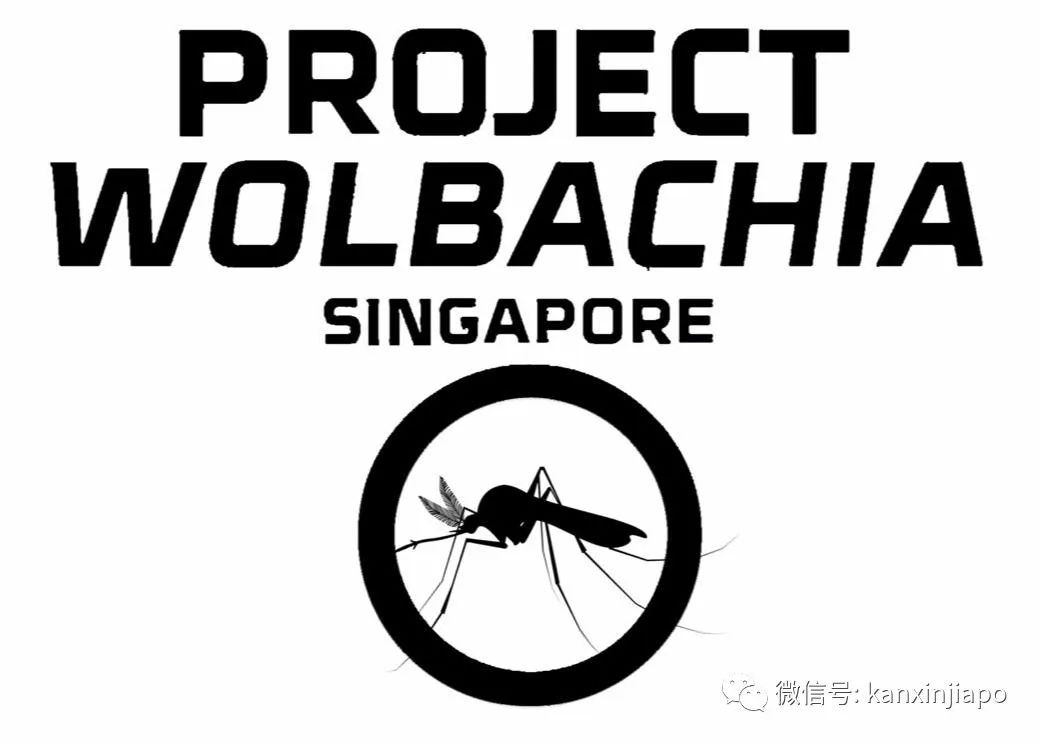 今增XXX 累计YYY | 祸不单行！新加坡爆发史上最严重骨痛热症，死亡人数攀至16人