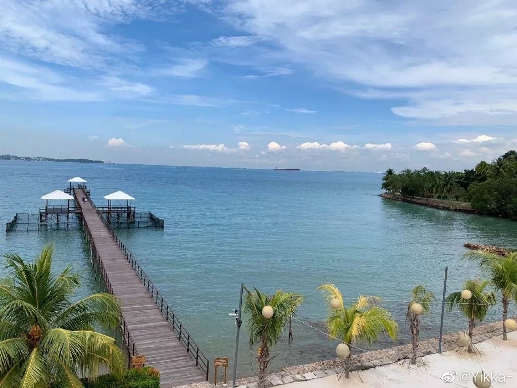 新加坡“后花园”五星级度假村木桥坍塌，至少26人坠海！