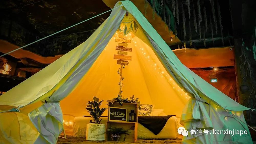 699新币野生动物陪你入眠，新加坡人是有多喜欢扎营