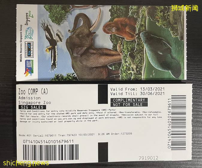 免費送票！$58就能露營機場，兩天一夜住帳篷，快搶