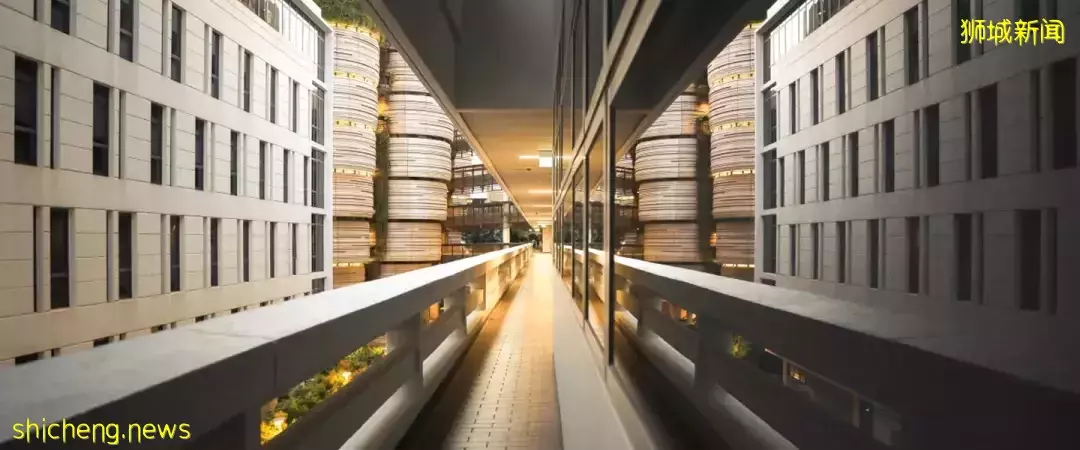 NTU申请季结束了?4月还有这些专业开放申请