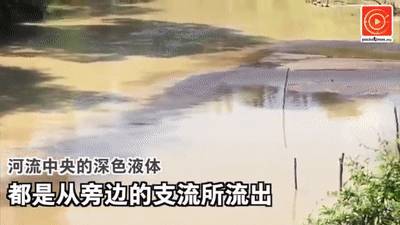 什麽?!新加坡的廢水竟然能喝