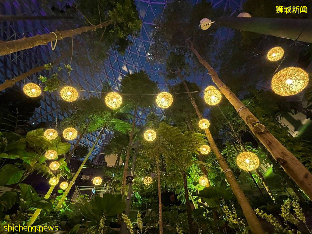 Jewel Changi機場園林挂上燈籠🏮一片流光溢彩、等你來打卡😍猜對燈籠數量可贏取禮券