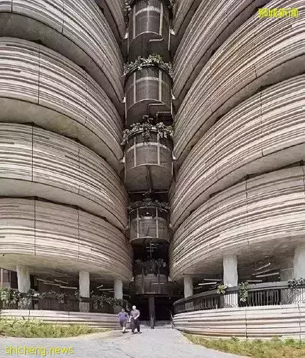 新加坡的這些高顔值的學校,你想來嗎