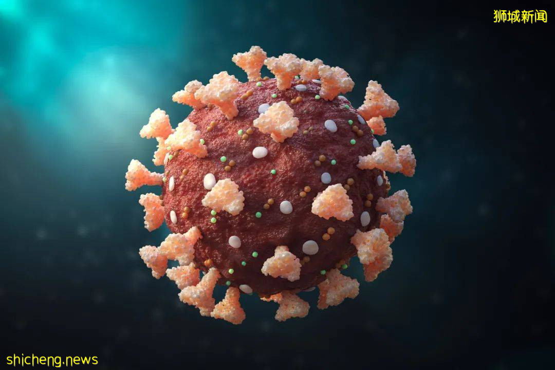 首公布!打完疫苗9个月后失效!新加坡正在评估Novavax