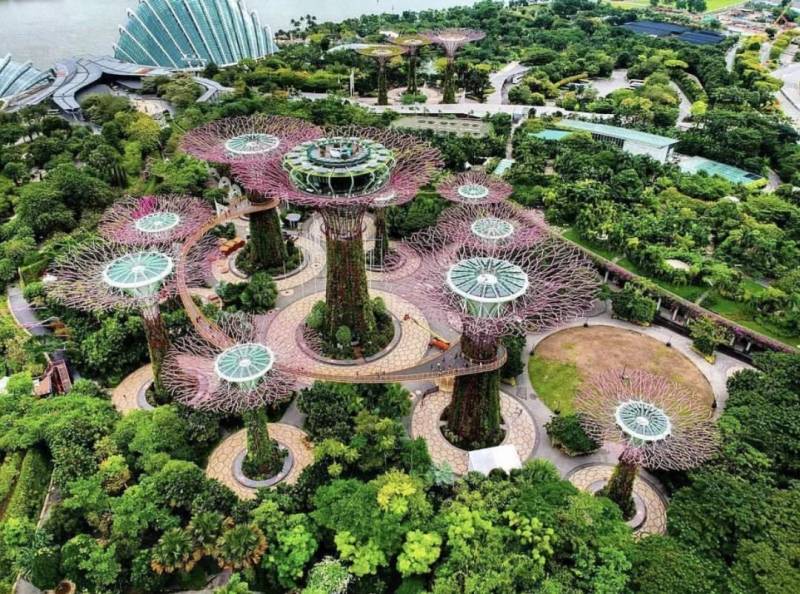 申请新加坡PR的条件和审批因素有哪些