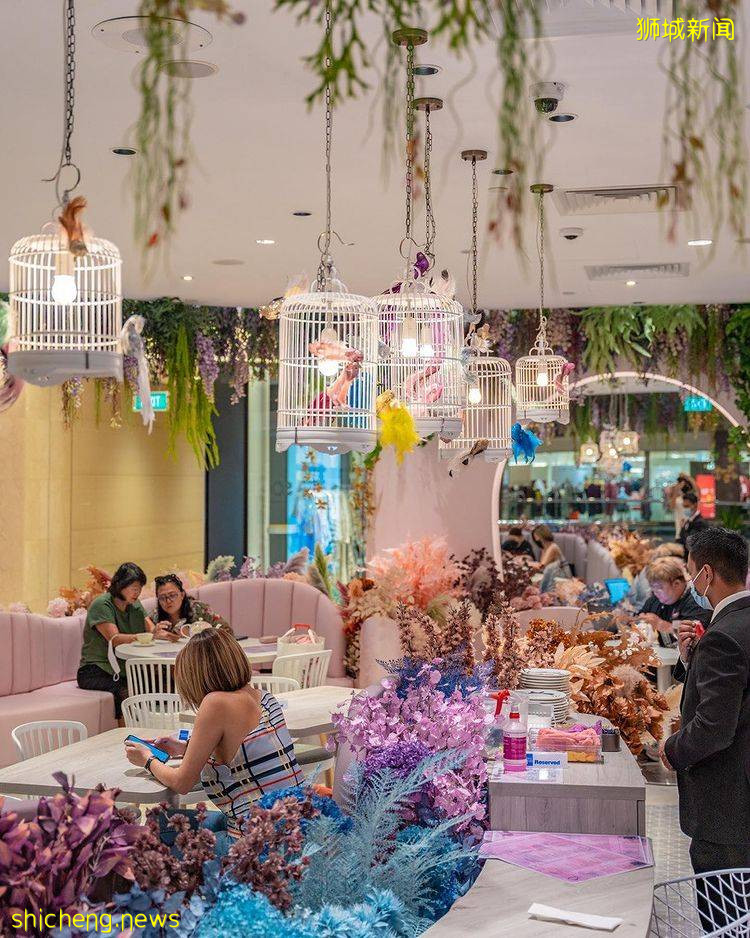 乌节路新花卉咖啡馆💐粉色装潢、花花围绕,置身Café Q Classified的梦幻世界