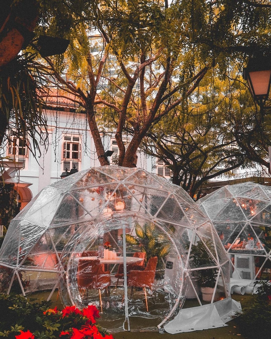 在梦幻透明屋共进晚餐!雪花鲜花星空的极致浪漫