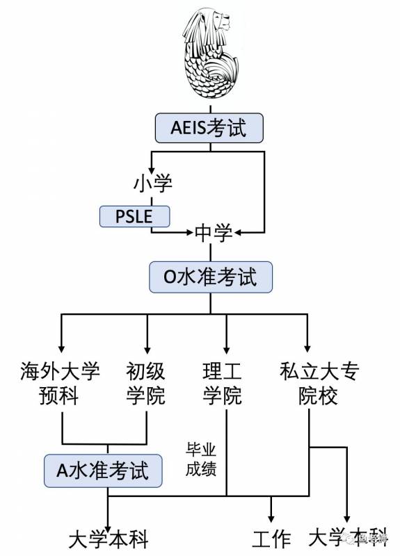 新加坡教育体系介绍 Vol 1