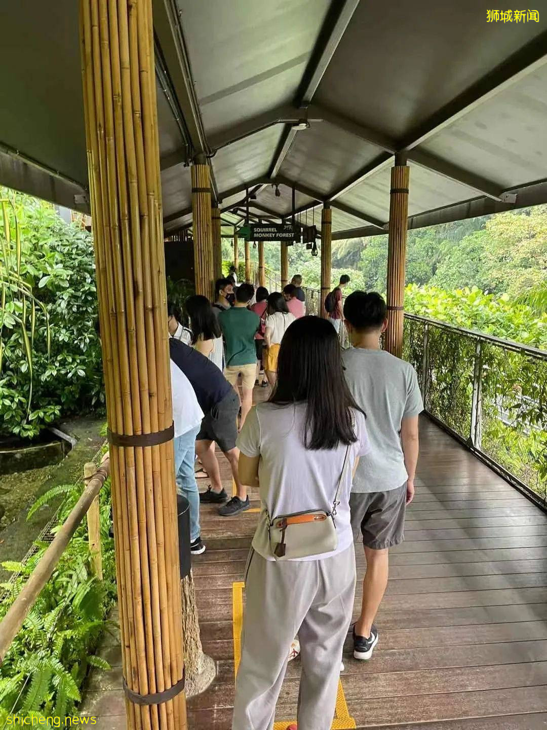 震驚！人從衆𠈌，疫情之下新加坡周末多處現大規模人潮