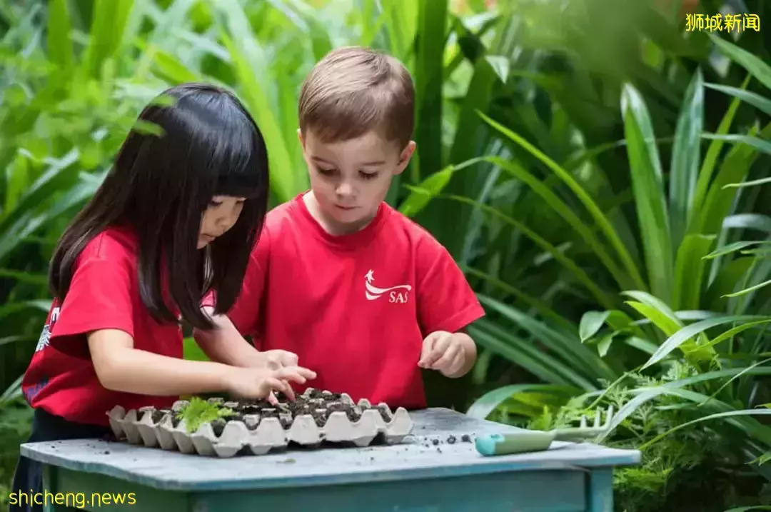 史上最強攻略!在新加坡如何選學校?國際學校vs政府學校,哪個好