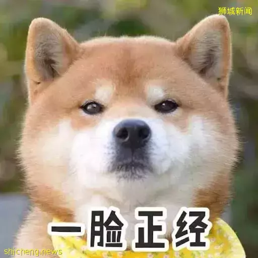 新加坡爲什麽沒有狂犬病?連本地人都不知道的一段黑曆史