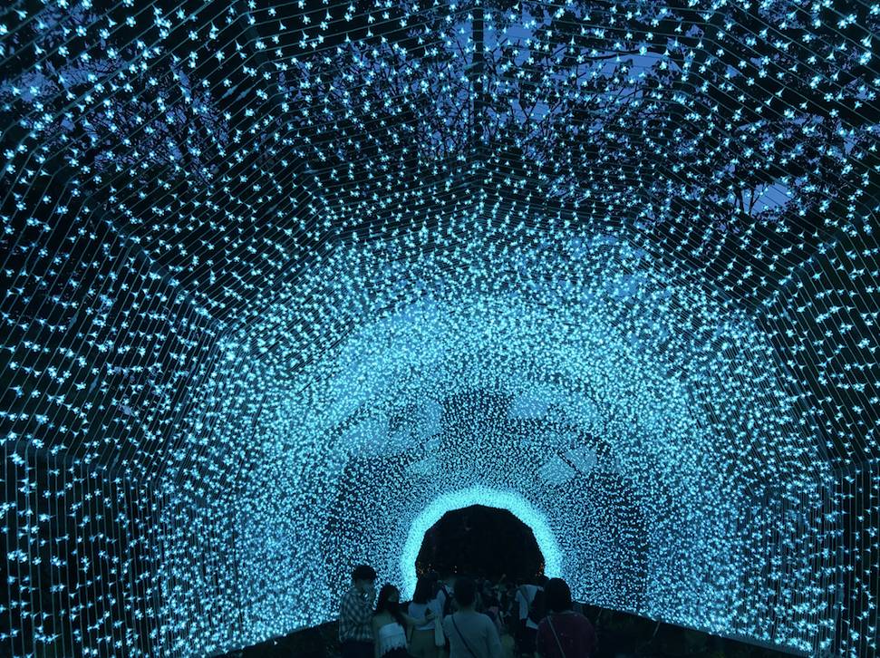 【元旦彙總】~*HAPPY 牛 YEAR*