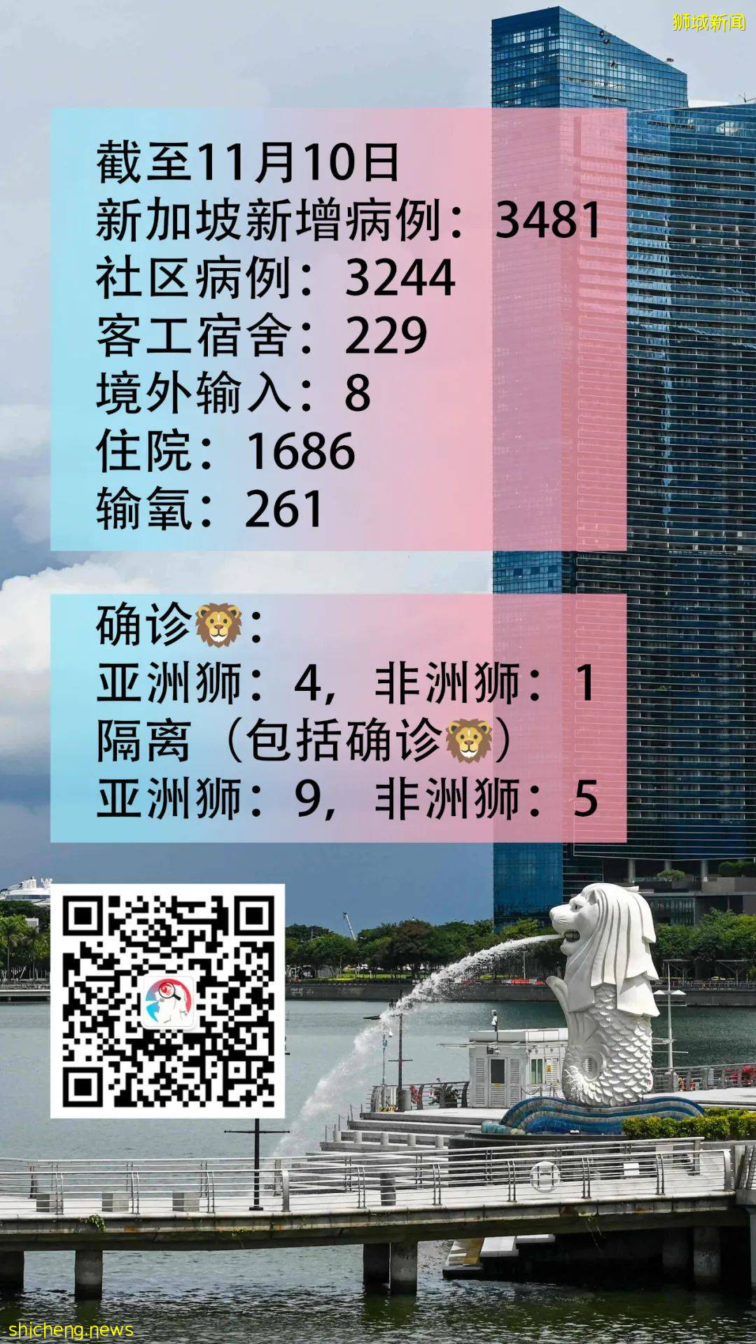 狮城动物园第五头狮子染冠病!14头狮子被隔离