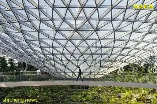 又双叒叕可以出去玩了?新加坡迎来出国旅游“窗口期”