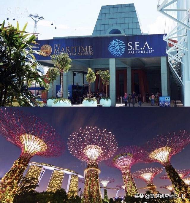体验当真实版“海王”，这个新加坡海洋馆让孩子圆拯救世界的梦想