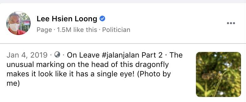 热议!李显龙开始休假!网友:龙哥会去哪里