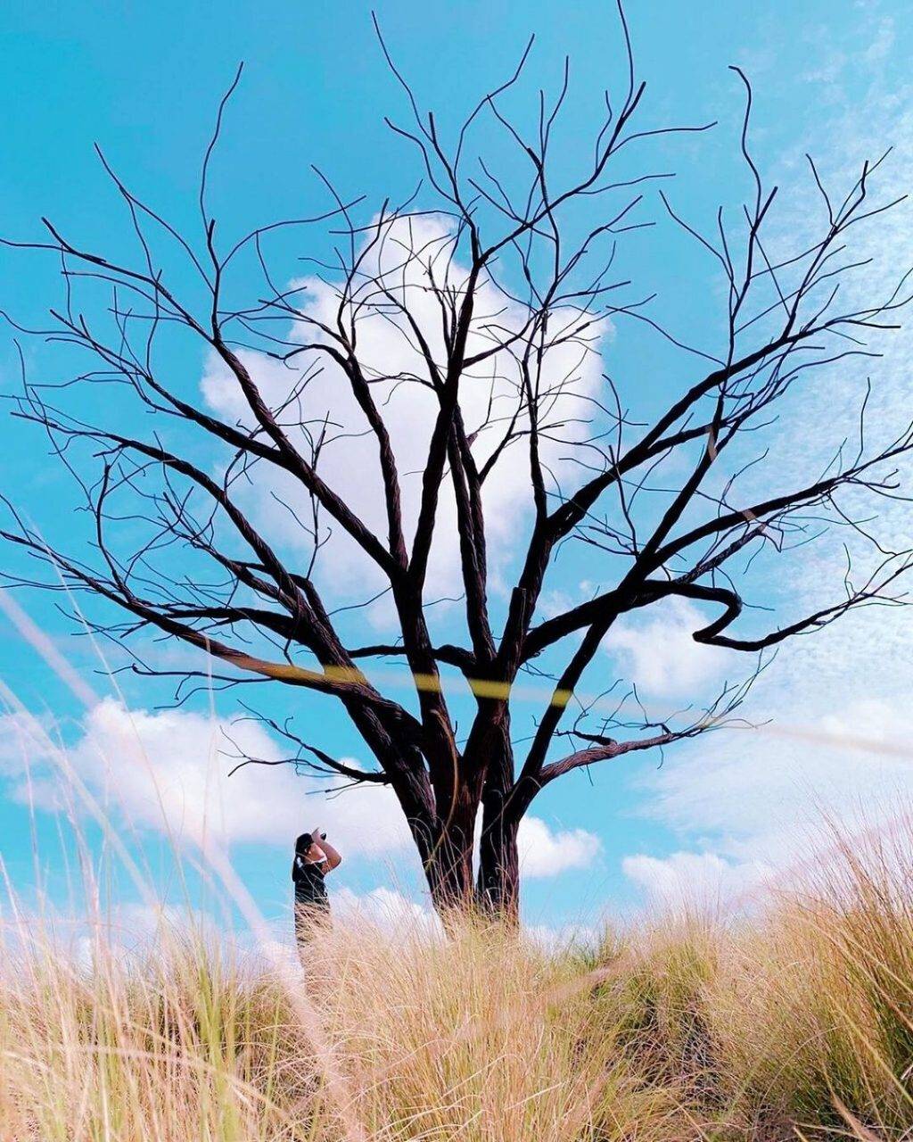 新加坡海岸步道🤩 全长36公里的Coast