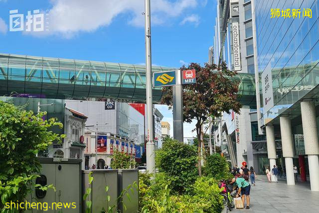 我，印度裔工人，在新加坡修船半辈子，没想到突然成了中国网红