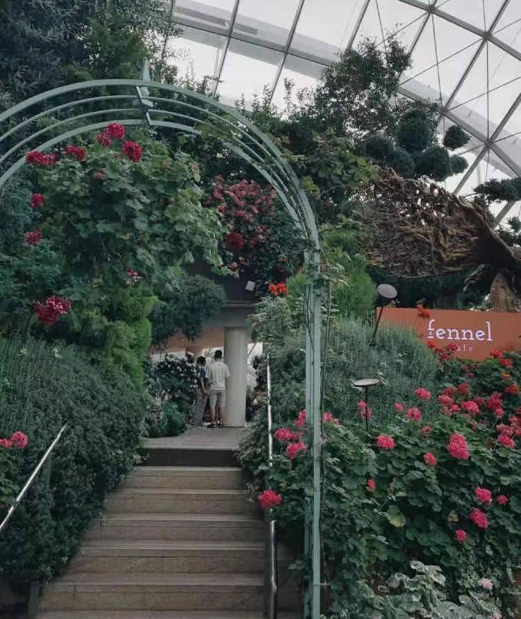 情人节快到啦!这里有一份新加坡甜蜜度100%的餐厅list待查收