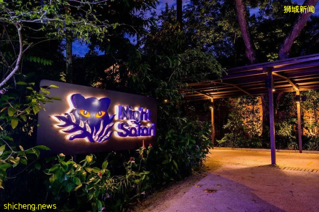 新加坡动物园大！升！级！雨林探险、动物互动，6园合1超期待