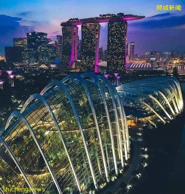 逐步“解封”進行時,新加坡移民迎來“黃金期”!