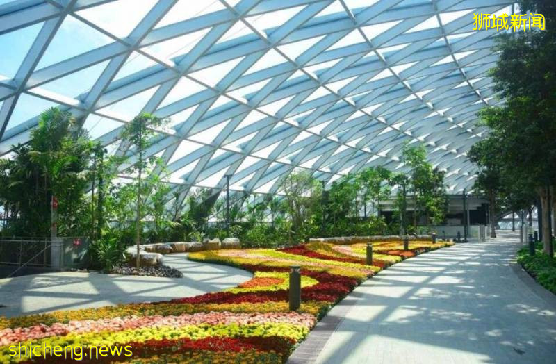 新加坡飞中国航班再增加，迫不及待拉中国游客的节奏