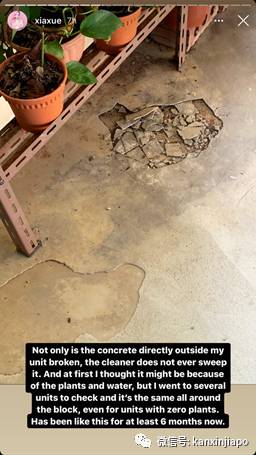 新加坡网红在反对党执政选区生活:“确实与众不同”