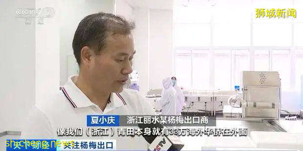 这种国内我们常吃的水果,欧洲10元一颗,狮城客商一口气买两吨