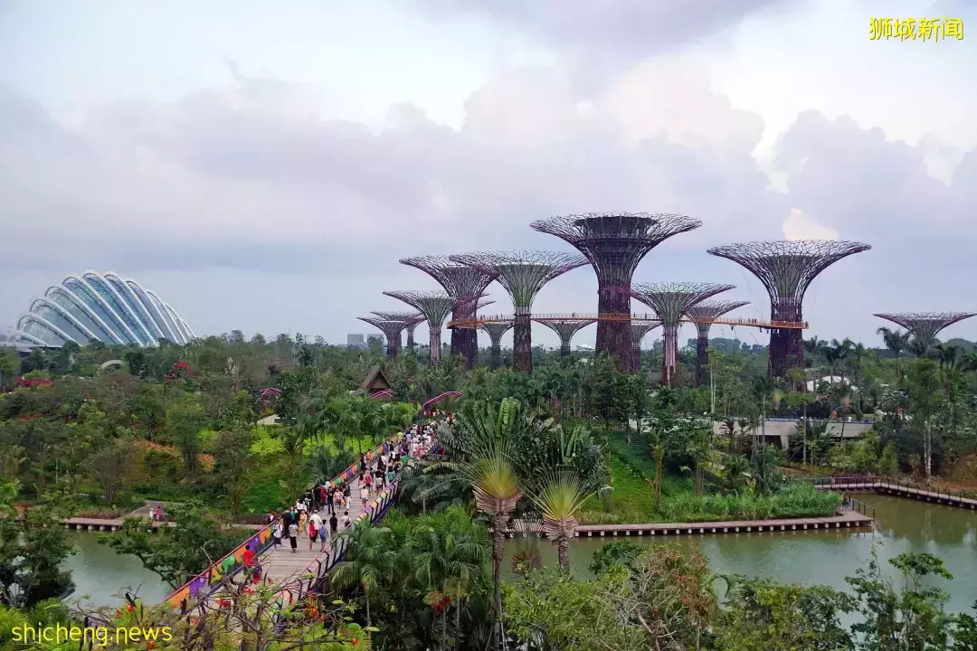 “数十亿人或排队要来新加坡,但是……”李显龙总理最新讲话,透露重要信息