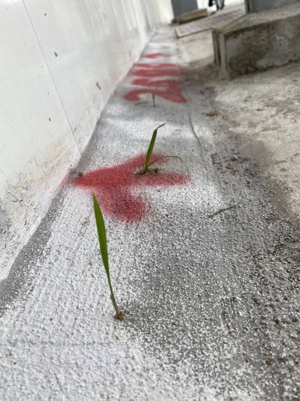 坡岛一瞬间！小孩也能拍出无修图网红照