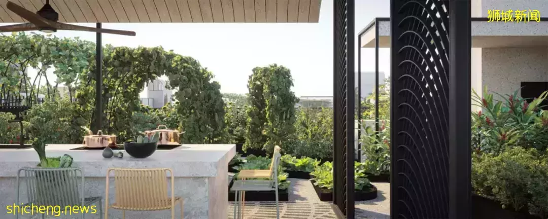 新加坡又出全景观公寓,示范了真正的花园式小区