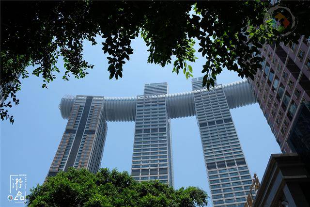 重庆与新加坡的不解之缘：来福士引争议，5年合作金额2169亿 