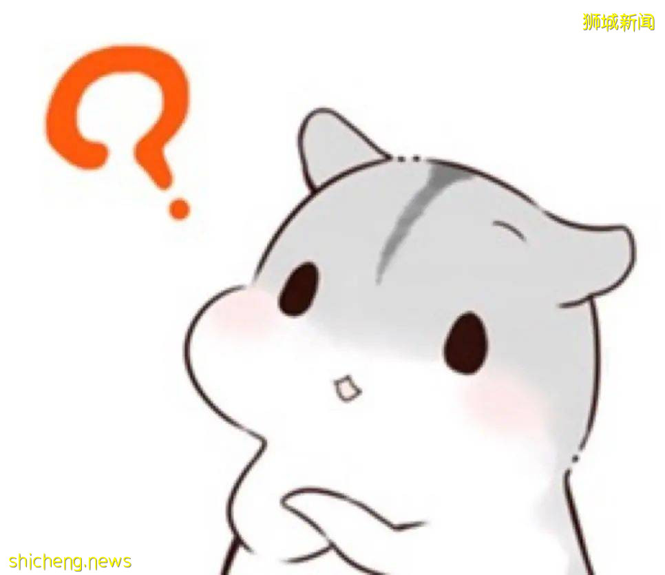 新加坡公立高中如何申請呢