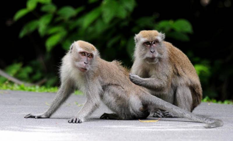 “明天就回國了!今晚,我突然想起在新加坡的50個第一次!”