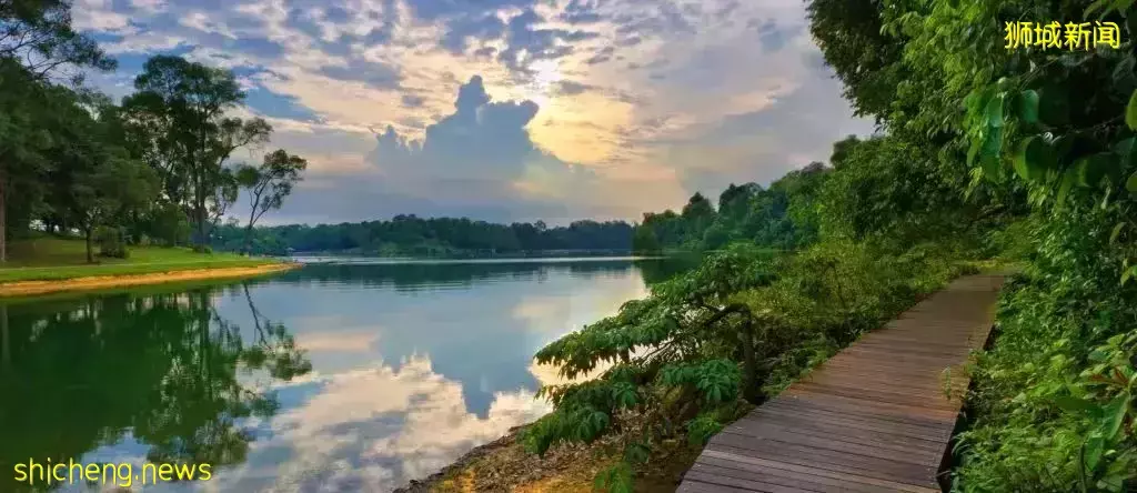 武吉知马路上的十全十美 顶配双学区 品质楼盘 经典设计 惊爆折扣推出