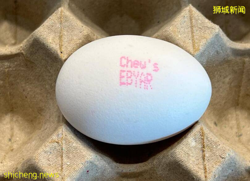 鸡蛋传出鸡叫吓坏新加坡妹纸！厂商哭驳：连公鸡都没有！真没办法受精