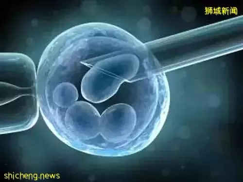 新加坡允许未婚女性做冻卵! 附费用和流程指南