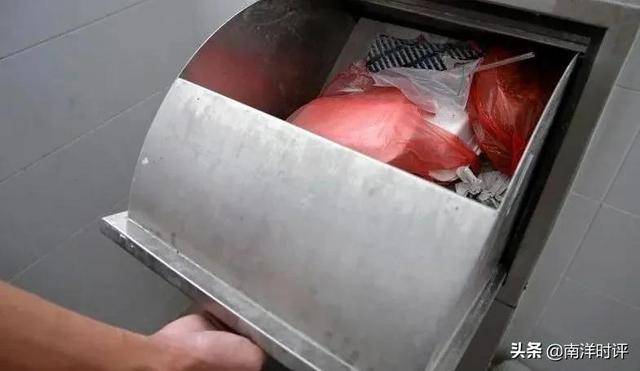 唐晓岚:论为什么在新加坡一定要拍死蟑螂