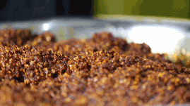 逢周末就爆滿!這個新加坡唯一的靠海美食村裏到底有哪些“寶藏小吃”